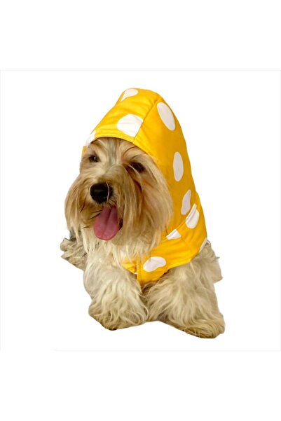 Kemique Puantiyeli Sarı Yağmurluk Kapşonlu Köpek Yağmurluğu