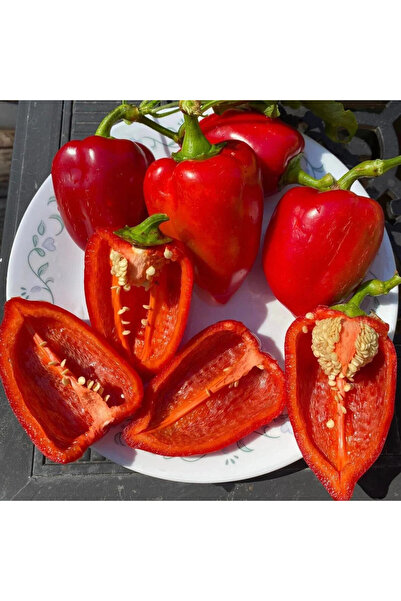 ZENGARDEN EV VE BAHÇE Tatlı pimento biber tohumu geleneksel pimento pepper