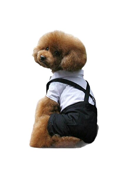 Kemique Tuxedo Smokin Köpek Kıyafeti Damatlık