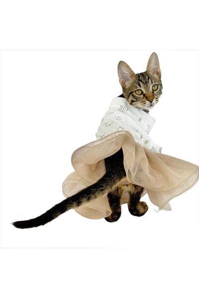 Kemique Sun Cream Tutu Cat Dress, Clothes Tutu