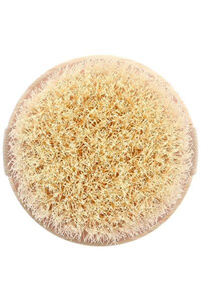 Ecotools - فرشاة الجسم الجافة للتقشير وإزالة السموم