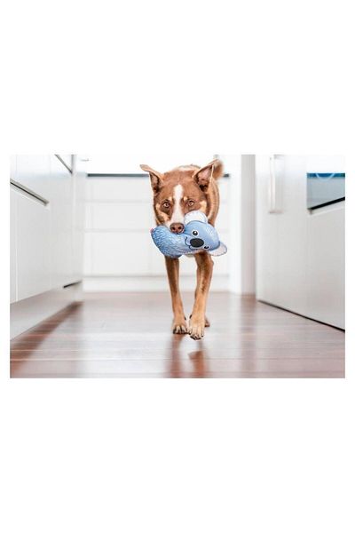 RedDingo Durable Soft Dog Toy - Koala