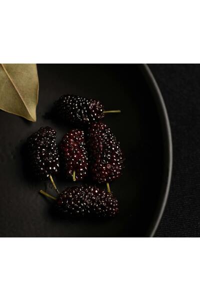 Fırat Köy Ürünleri Karadut Reçeli Köy Yapımı750 gr(Tire)