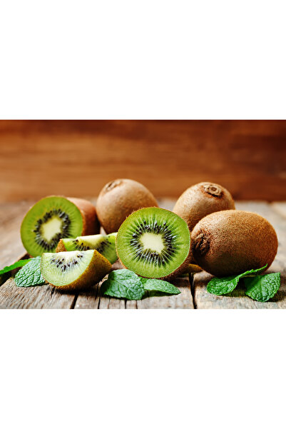 atlas fidan peyzaj Kivi Fidanı ( 2 Adet \ Tüplü )