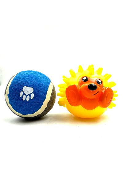 Tasma Market Hedgehog Ball and Tennis Dog Play Ball Set of 2