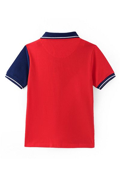 Pine kids Cotton Knit Half Sleeves Polo T-Shirt Text Print - Multicolour