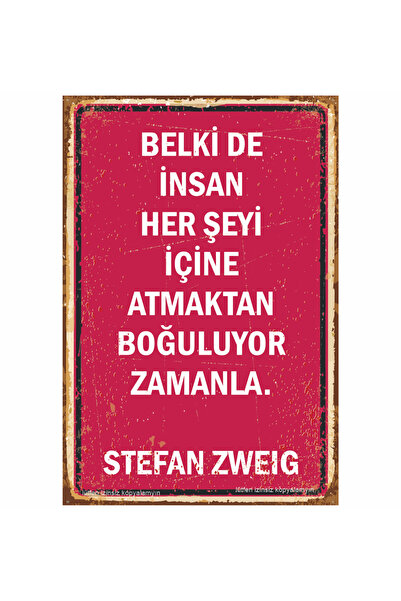 Hayat Poster Stefan Cvajg Inspirativna poezija Književni citati Dekoracija do...