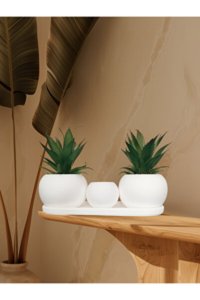 Netsepeti Artificial Succulent Set and Candle Holder Succulent Cactus Set and Candle Holder Concrete Flower Pot Artificial Flower Set