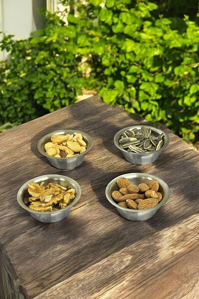 FİTHOME 4-Piece Stainless Steel Presenter Sauce Bowl and Snack Bowl