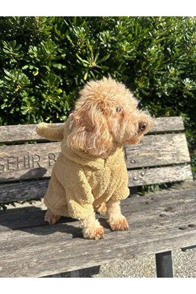 SayPuppy Küçük Irk Kışlık Sarı Köpek Tavşan Kulaklı Kapüşon Sweatshirt