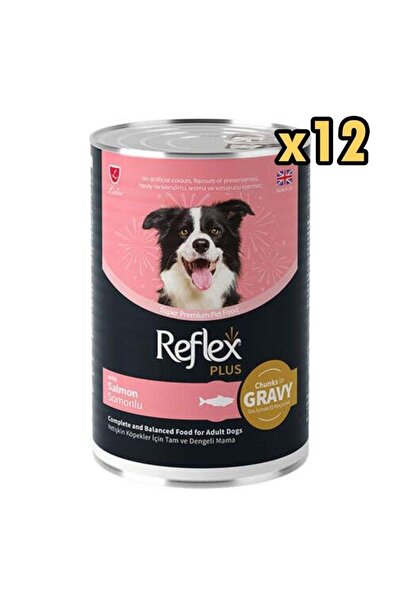 Plus Gravy Somonlu Et Parçacıklı Köpek Konservesi 400 Gr x 12 Adet