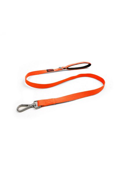 Tailpetz Neon Orange Cat Dog Transport and Travel Strap
