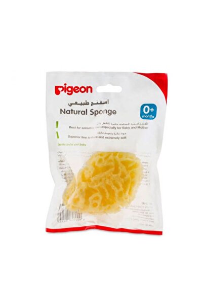 Pigeon اسفنجة طبيعية، كبيرة