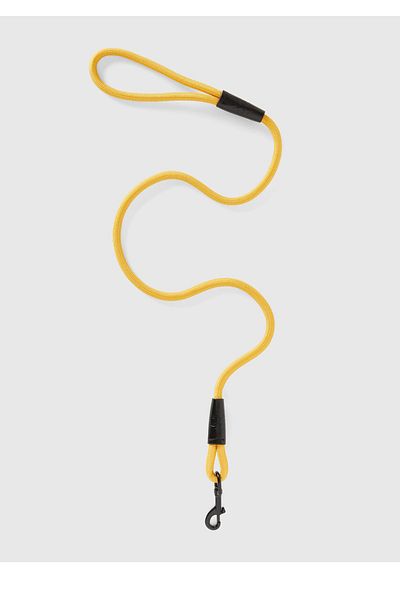 United Colors of Benetton Unisex Mustard Doggy Leash Dog Outfit
