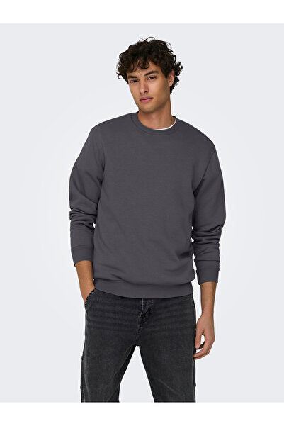 Only & Sons ONSCERES CREW NECK NOOS Grau Nadelstreifen 22018683