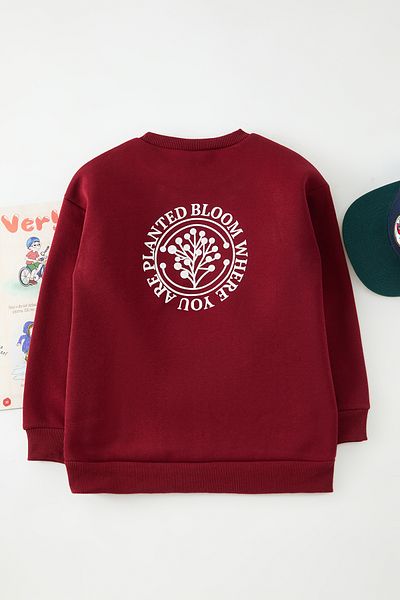 TRENDYOLKIDS Обикновен плетен суичър Mini Me за момчета с принт на гръб в бордо Tkdaw25Sw00115