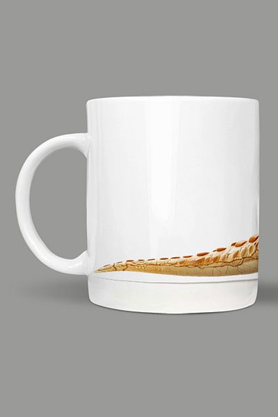 Fizello Cute Dinosaurs - Cute Dinosaur Themed Mug