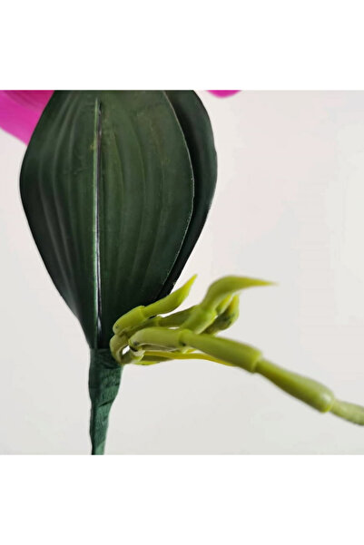 MD Aspiz Flowers 1 Adet Yapay Islak 2li Orkide Çiçeği _ Buketi Demeti Sarmaşık Ağacı Çiçeği Kuru Hediye Saksısız