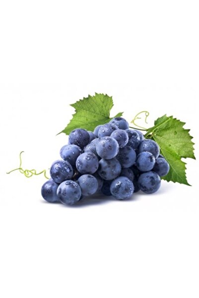 Dafa Gölyazı Üzüm Şırası 1000ml Çekirdekli Siyah Üzüm.