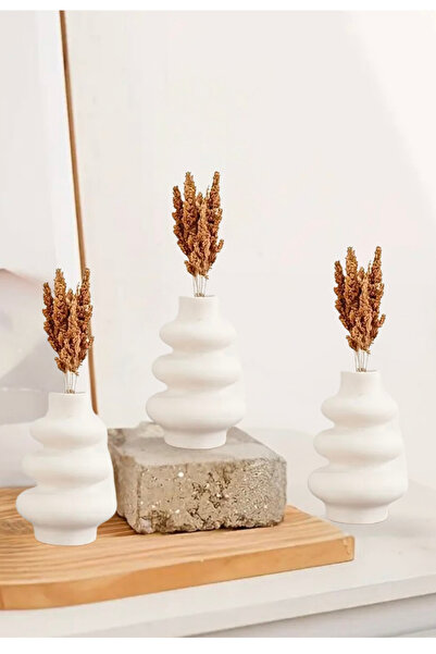 Bernami Pinterest set od 3 boemske vaze u nordijskom stilu, poklon set pampas...