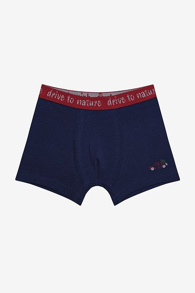Penti Boy Drive To Nature 2 Pack Πολύχρωμο Boxer