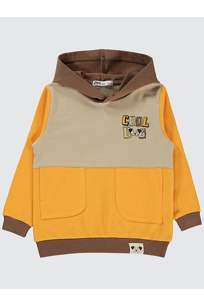 Civil Boys 2-5 Years Old Boy Hooded Yellow Sweatshirt