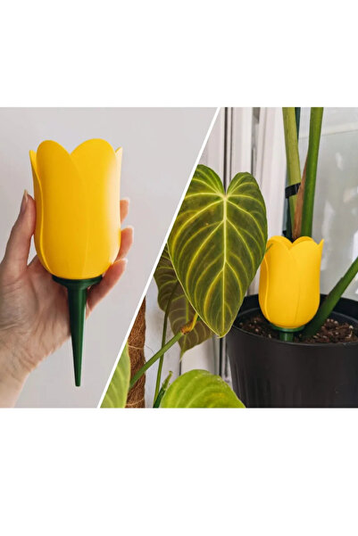 Decorstation Formula de distilare pentru udarea plantelor Aspect de lalele