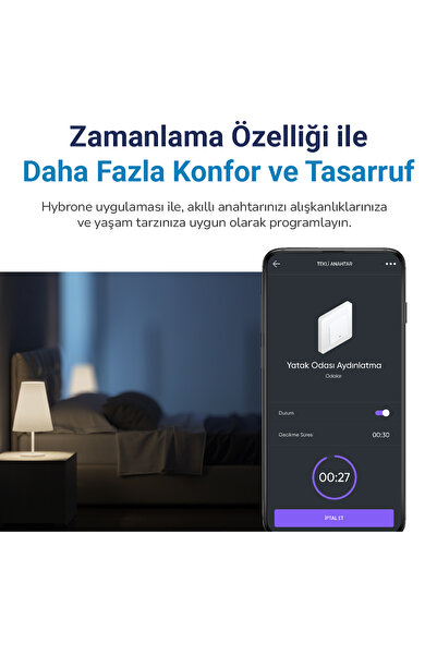Hybrone Duvar Tipi Ikili Akıllı Anahtar, Uzaktan Kontrol, Aşırı Yük Koruma, Zamanlayıcı,