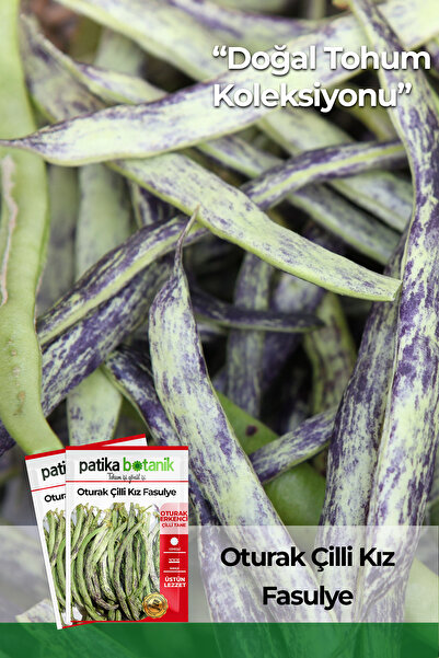 Patika Botanik 50 Adet Oturak Çilli Kız Fasulye Tohumu