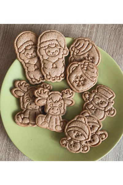 Arsdcraft Set of 5 Winter Themed Cookie Moulds