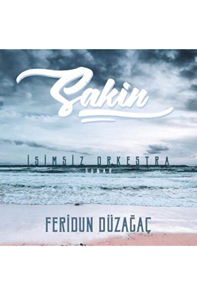 Sony Feridun Düzağaç - Sakin (LP, Plak, Album)