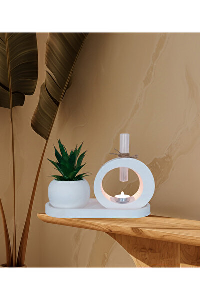 Netsepeti Beton saksıda yapay sukulent oval modern tüp buhardanlık oval altlı...