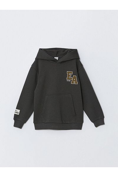LC Waikiki Lcw Дебел суитшърт за момче с щампа и качулка