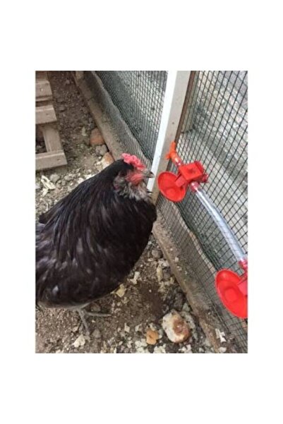 BİLTEK Otomatik Tavuk Suluk ve Civciv Suluk