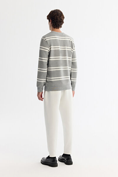 Avva Erkek Gri Bisiklet Yaka Çizgili Elastan Regular Fit Sweatshirt A42Y1292