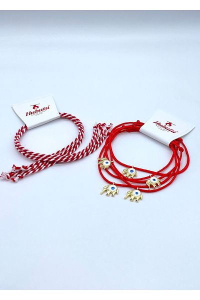 Concept HuBuTU Set of 10 Pieces (5*2 Pieces) Gift Card, Gelatin and Red Rope Wish Bracelet