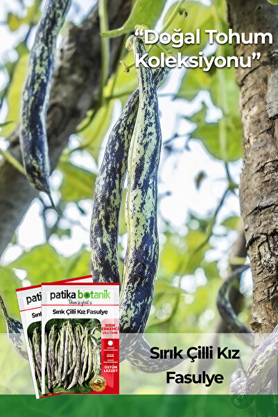 Patika Botanik 50 Adet Sırık Çilli Kız Fasulye Tohumu