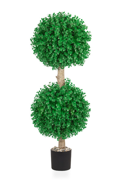 Çiçekmisin Siyah Plastik Saksıda Uzun İki Kat Top Şimşir