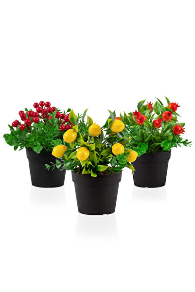 Çiçekmisin 3’lü Set Siyah Mini Plastik Saksıda Yapay Kokina, Limon Ve Nar Çiçeği