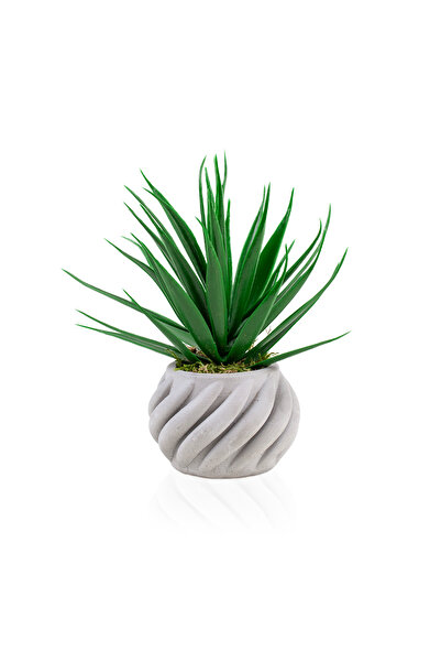 Çiçekmisin Kıvrımlı Beton Saksıda Yeşil Yapay Kaktüs Aloevera