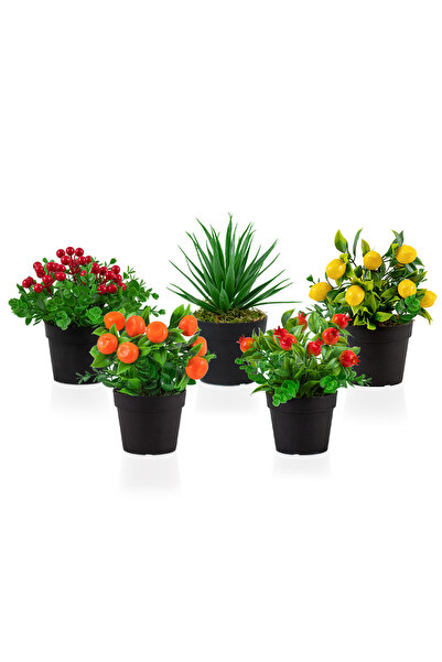 Çiçekmisin 5’li Set Siyah Mini Plastik Saksıda Yapay Kokina, Aloe Vera, Limon...