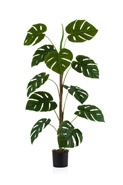 Çiçekmisin Siyah Saksıda 11 Dal Yapay Monstera Ağacı 105 cm