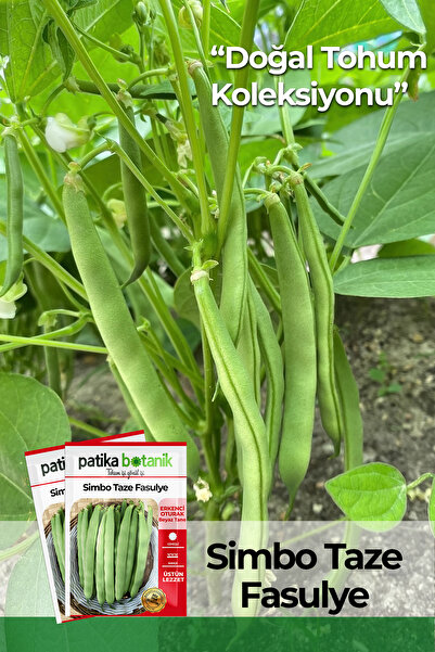 Patika Botanik 50 Adet Simbo Fasulye Tohumu