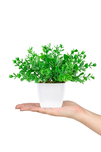 Çiçekmisin Beyaz Mini Plastik Saksıda Yapay Demet Şimşir