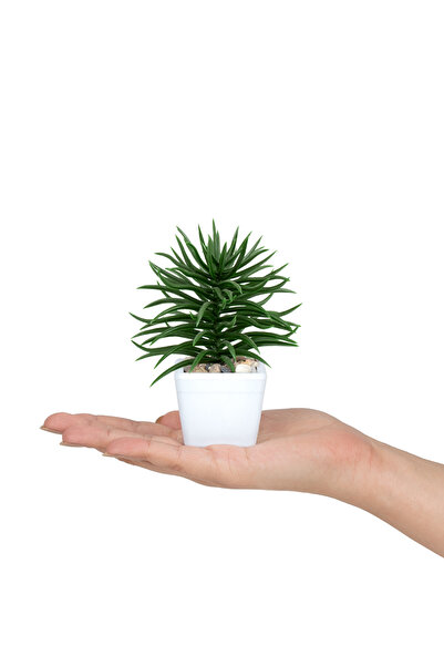 Çiçekmisin Mini Fincanda Yapay Taşlı Kaktüs