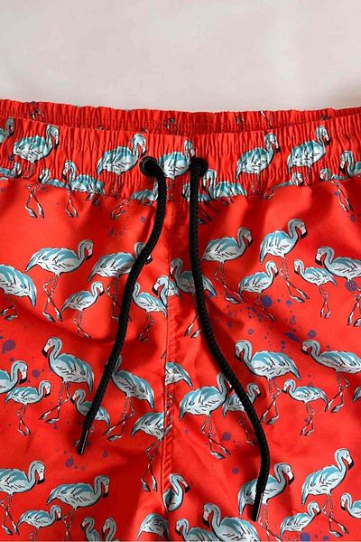 AYYILDIZ 845 Men's Orange Flamingo Patterned Swim Shorts