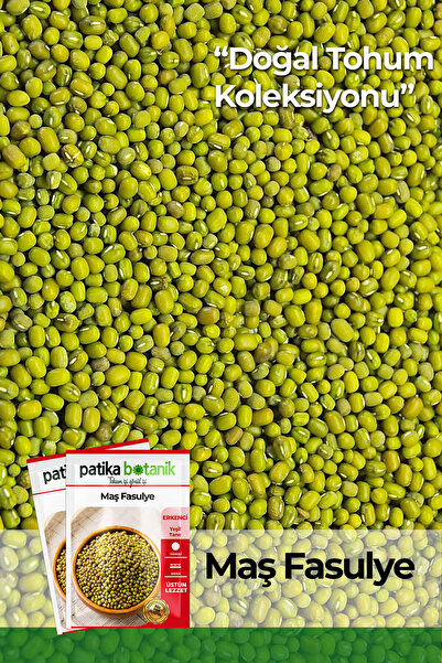 Patika Botanik 50 Adet Maş Fasulye Tohumu