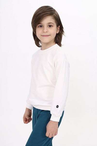 Toontoy Boy's Sweatshirt - Printed