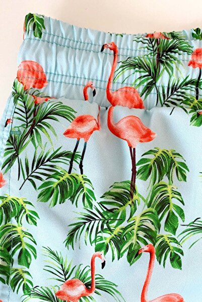 AYYILDIZ 845 Ανδρικό σορτς Green Sea