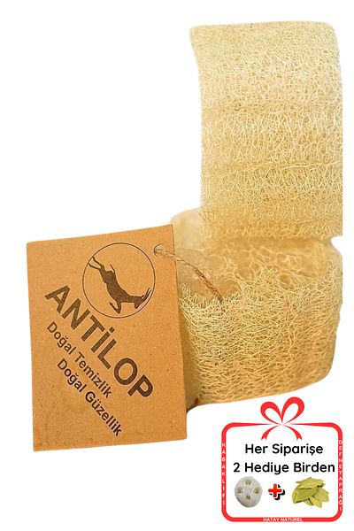 Antilop Natural Pumpkin Fiber Ellipse Double Set (2 Pieces) (Body Dish Cleaning)